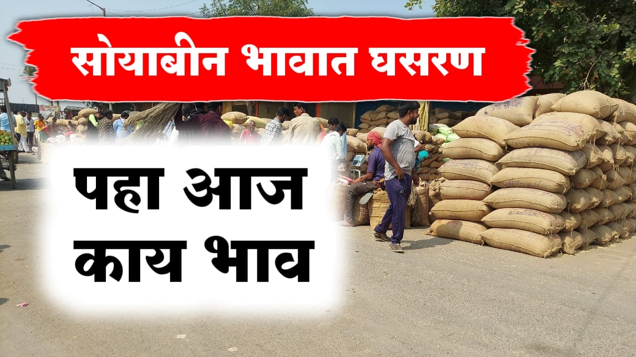 सोयाबीन बाजारभाव