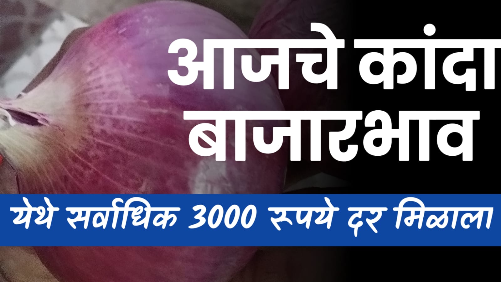 onion price