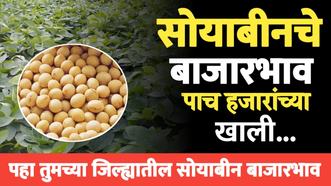 आजचे सोयाबीन बाजारभाव